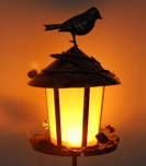 Bird Feed & Solar Lit Garden Light