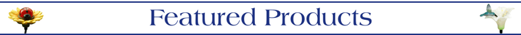 Featured Solar Lawn & Garden Products