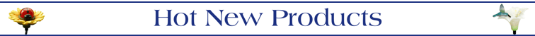 Hot New Solar Lawn & Garden Products